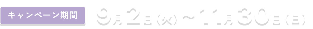 キャンペーン期間
